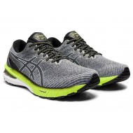 Asics Gt-2000 10 Carrier Grey/White Running Shoes Men