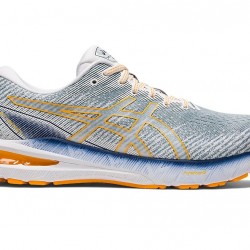 Asics Gt-2000 10 Light Steel/Amber Running Shoes Men