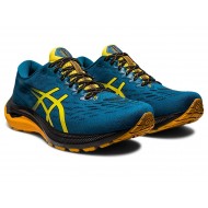 Asics Gt-2000 11 Tr Wide Nature Bathing Nature Bathing/Golden Yellow Trail Running Shoes Men