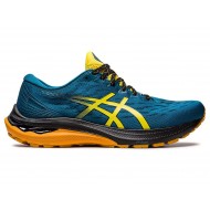 Asics Gt-2000 11 Tr Wide Nature Bathing Nature Bathing/Golden Yellow Trail Running Shoes Men